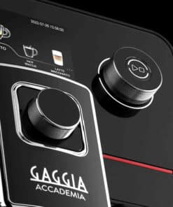 gaggia accademia segafredo