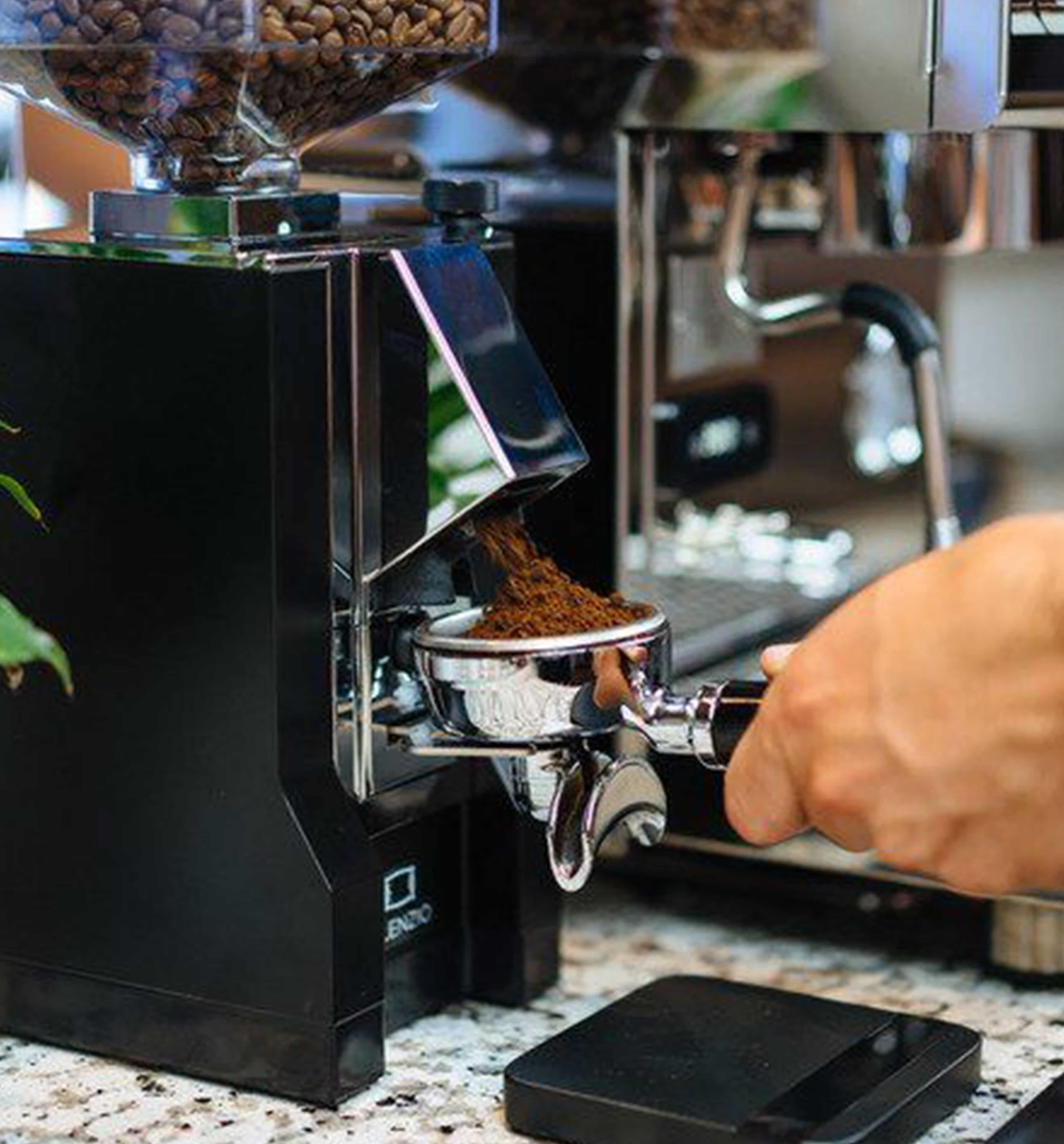 coffee grinder grinding beans