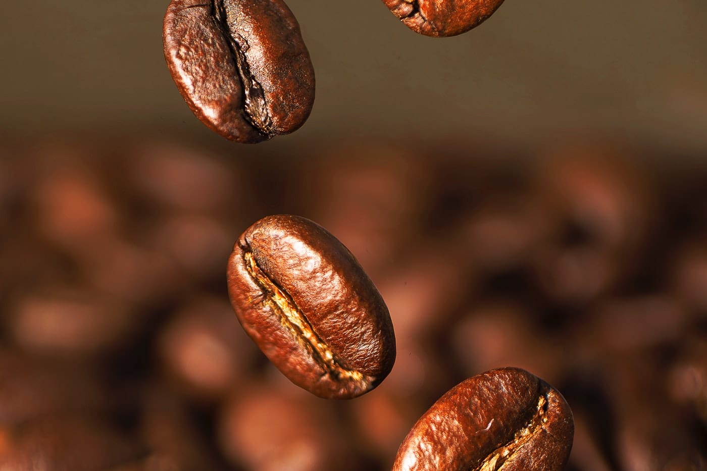 Segafredo coffee beans